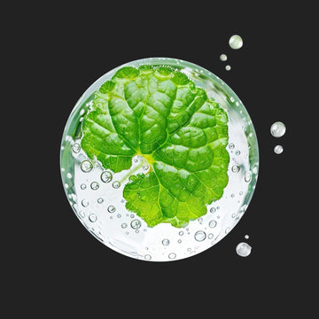Soothing & Recovery Complex