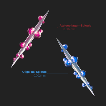 Two Types. One Powerful Delivery.